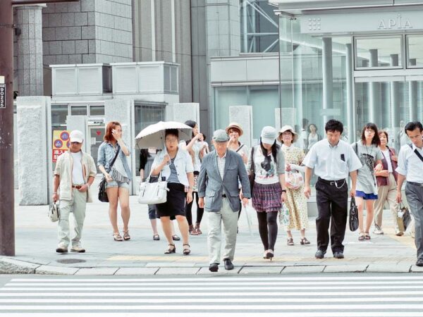 Demographic and Societal Change through the Japanese Lens